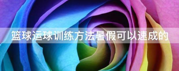篮球小学生基本功训练教学反思怎么写_1